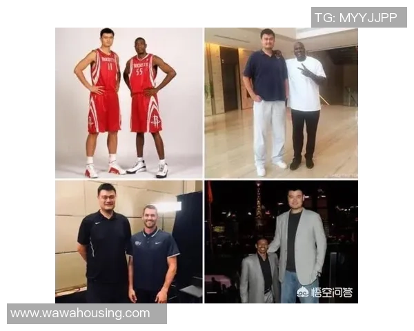 福克斯对姚明的高度评价与其在篮球界的影响力分析