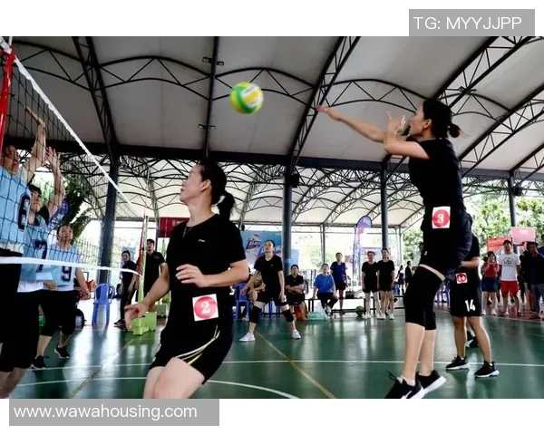 王静独家分享：深入探讨排球技巧与心得体会，助你提升竞技水平